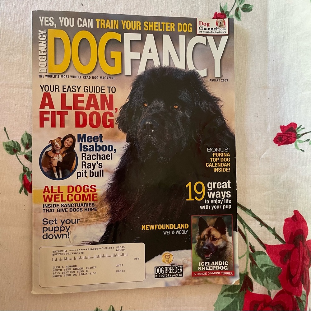 2009 Dog Fancy magazine Newfoundland Dog on cover poster inside